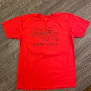 Men’s Busted Tees Shirt, Size Large